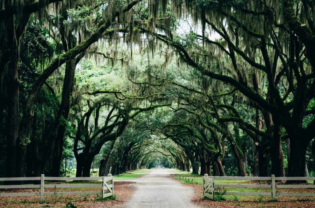 The perfect long weekend in Savannah, Georgia