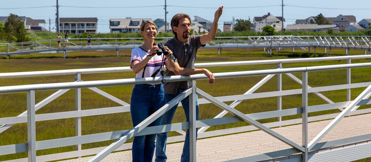 Places to Love - Bird Migration - Jersey Shore