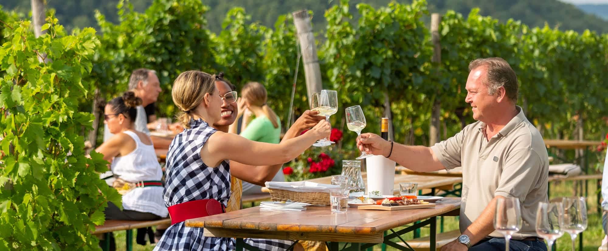 Vienna, Austria - Places to Love - PBS